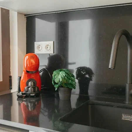 Appartement Elegant Loft In *